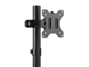 Neomounts by NewStar Wandhalterung FL40-430BL11 Schwarz