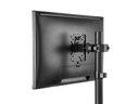 Neomounts by NewStar Wandhalterung FL40-430BL11 Schwarz