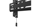Neomounts by NewStar Wandhalterung WL30S-850BL12 Schwarz