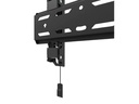 Neomounts by NewStar Wandhalterung WL30S-850BL12 Schwarz