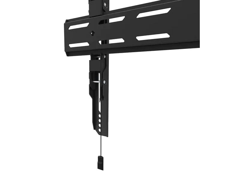 Neomounts by NewStar Wandhalterung WL30S-850BL16 Schwarz