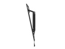 Neomounts by NewStar Wandhalterung WL35-550BL14 Schwarz