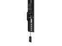 Neomounts by NewStar Wandhalterung WL35-550BL14 Schwarz