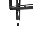 Neomounts by NewStar Wandhalterung WL35-550BL16 Schwarz