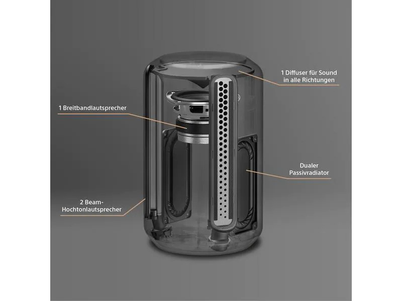 Sony Smart Speaker SRS-RA3000 Schwarz