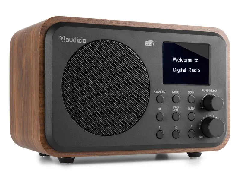 Audizio DAB+ Radio Milan Braun