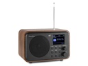 Audizio DAB+ Radio Milan Braun