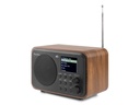 Audizio DAB+ Radio Milan Braun