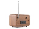 Audizio DAB+ Radio Milan Braun
