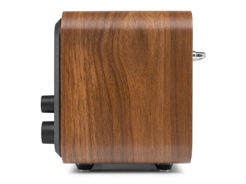 Audizio DAB+ Radio Milan Braun