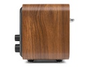Audizio DAB+ Radio Milan Braun