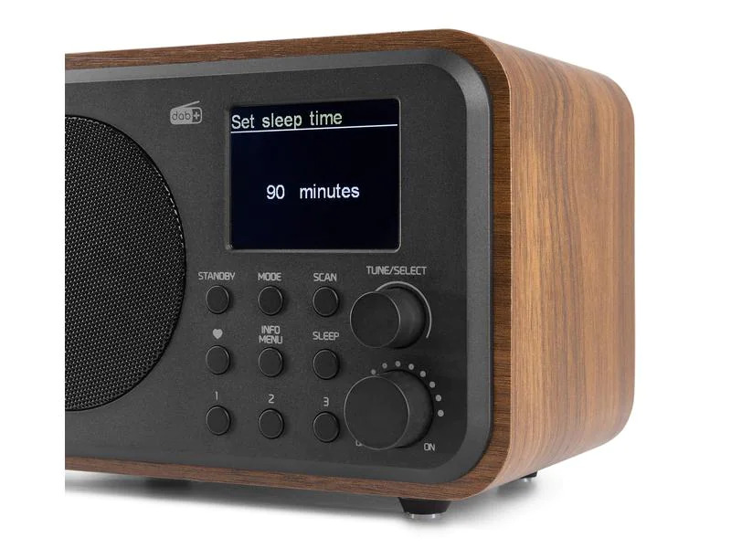 Audizio DAB+ Radio Milan Braun
