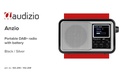 Audizio DAB+ Radio Milan Braun
