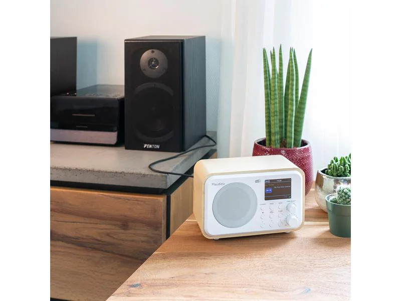 Audizio DAB+ Radio Milan Weiss