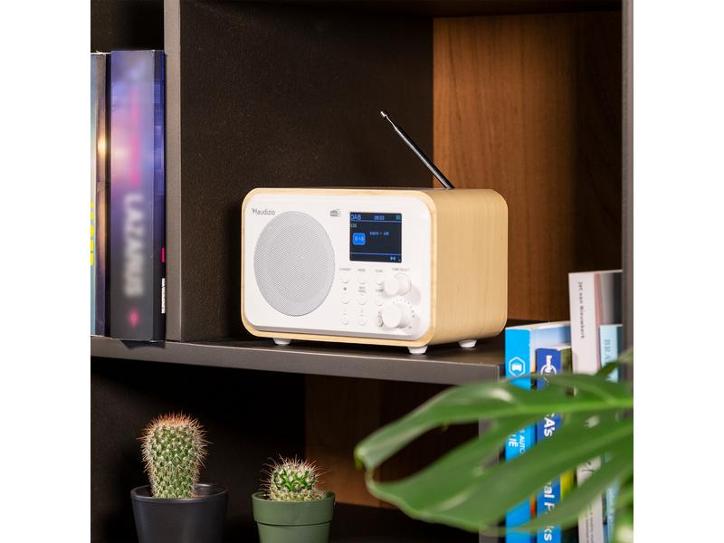 Audizio DAB+ Radio Milan Weiss