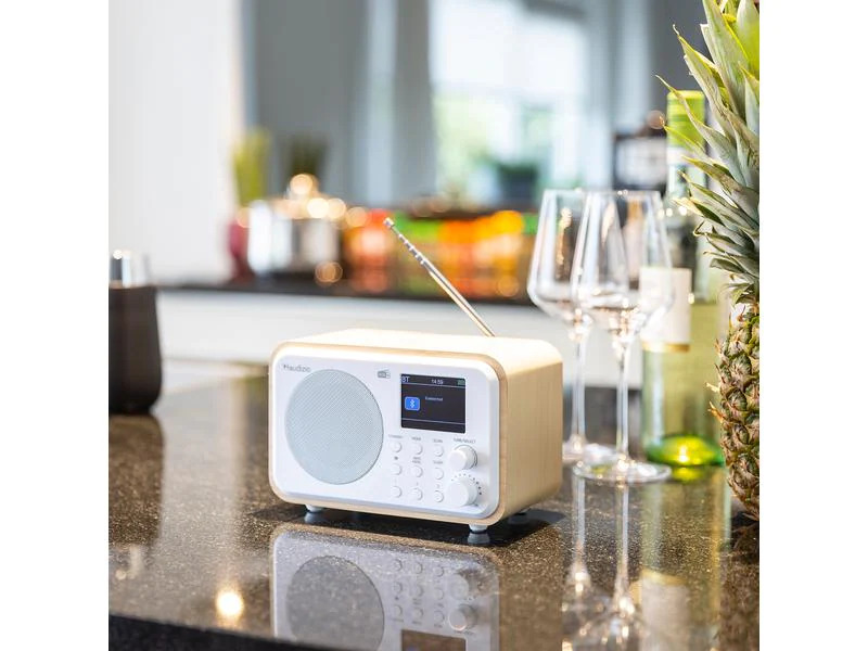 Audizio DAB+ Radio Milan Weiss