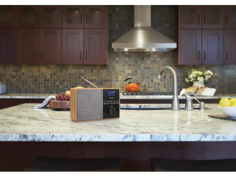 Philips DAB+ Radio TAR5505 Braun/Grau