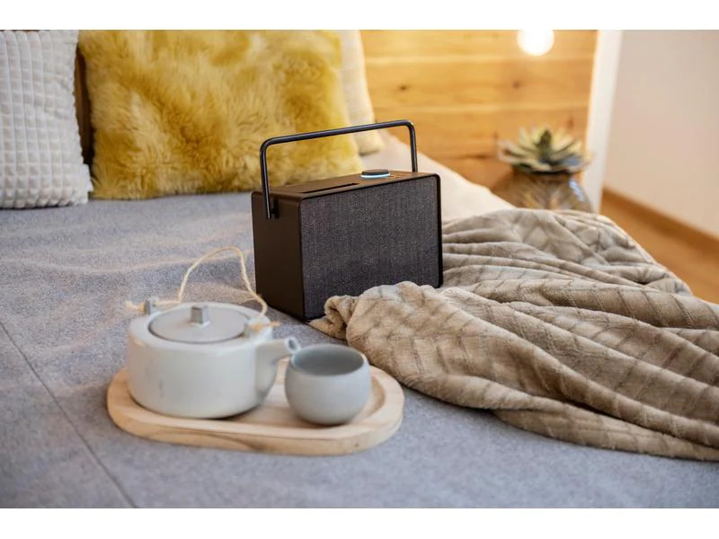 Pure Internet Radio Evoke Play Coffee Black