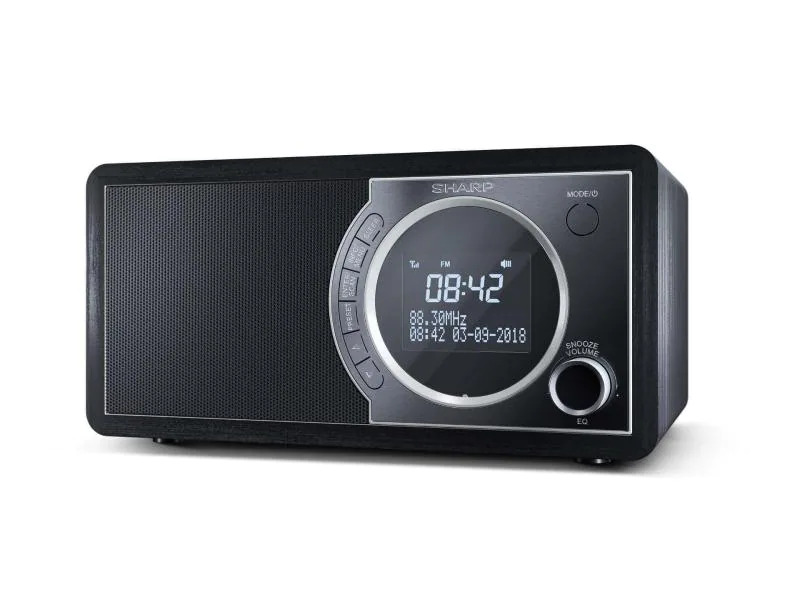 Sharp DAB+ Radio DR-450 Schwarz