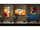 Samsung Touch Display QM55B-T 55