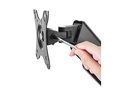 Neomounts by NewStar Wandhalterung WL70-440BL11 Schwarz