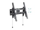 PureMounts Wandhalterung PM-BTL400 PureMounts, Schwarz