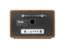 Audizio Internet Radio Lucca Braun/Weiss