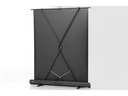 Celexon Mobile Leinwand Ultramobil Pro Plus 152x85 cm 16:9