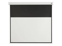 Celexon Motorleinwand Batterie V2.0 Motor Pro Plus 200x113 cm 16:9