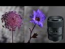 Tokina Festbrennweite atx-i 100 mm f/2.8 Macro Plus – Canon EF