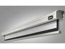 Celexon Motorleinwand Motor Professional 220x165cm 4:3