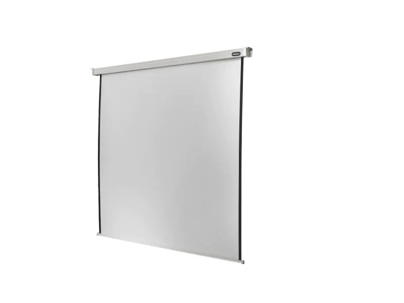 Celexon Motorleinwand Motor Professional 240x240cm 1:1
