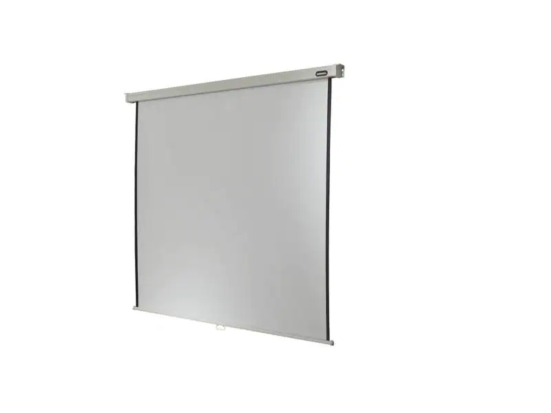 Celexon Rollo-Leinwand Professional Plus 200x150 cm 4:3