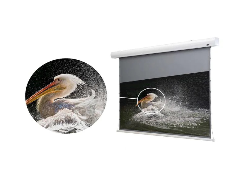 Celexon Tension-Leinwand HomeCinema Dynamic Slate ALR 265x149cm 16:9