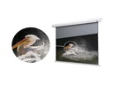 Celexon Tension-Leinwand HomeCinema Dynamic Slate ALR 265x149cm 16:9
