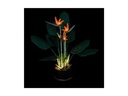 Light My Bricks LED-Licht-Set für LEGO® Paradiesvogelblume 10289