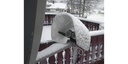 Satelliten TV Zubehör LNB Para Protection Wetterschutzhaube