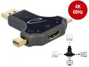 Delock Adapter USB-C, DisplayPort, miniDisplayPort auf HDMI