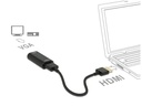 Delock Adapterkabel HDMI, VGA Metalgehäuse, Schwarz