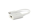 LMP Konverter USB-C - HDMI Silber