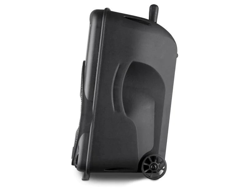 Fenton Lautsprecher FT10LED Aktiv Trolley-Speaker