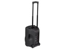 Fenton Lautsprecher FT10LED Aktiv Trolley-Speaker