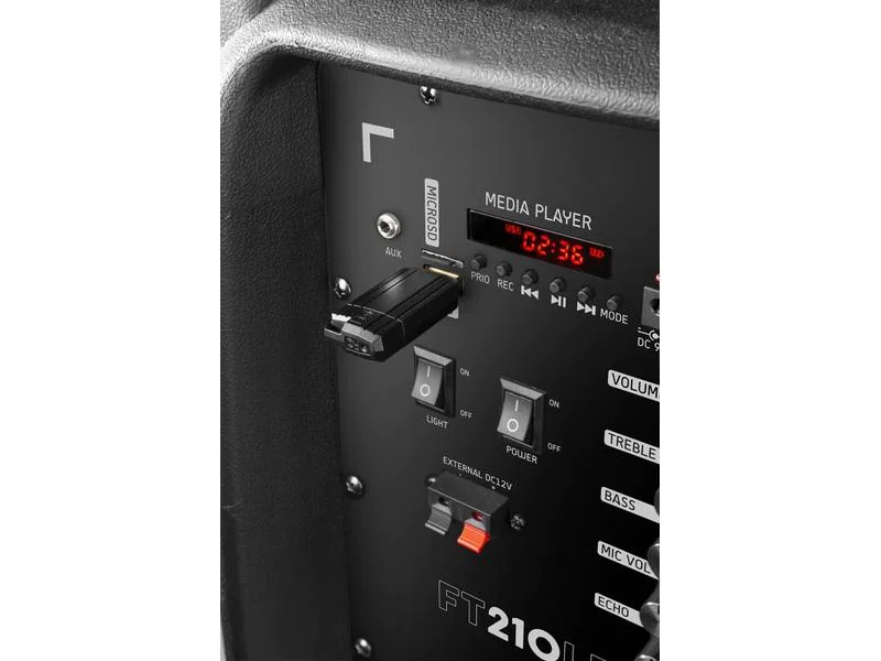 Fenton Lautsprecher FT210LED Party Speaker