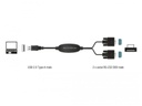 Delock Schnittstellenkabel USB 61886 RS232