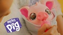 moose Little Live Pets Schwein
