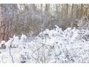 BeamZ Pro Schneemaschine SNOW5000