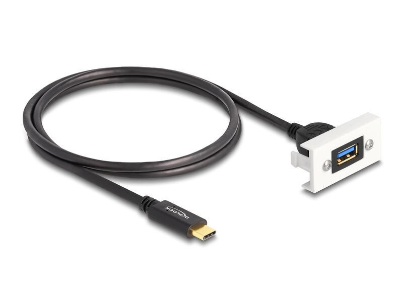 Delock Easy 45 Modul SuperSpeed USB-A zu USB-C, Kabelpeitsche
