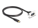 Delock Easy 45 Modul SuperSpeed USB-A zu USB-C, Kabelpeitsche