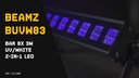 BeamZ UV-Scheinwerfer BUVW83