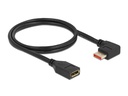 Delock Verlängerungskabel Rechts gewinkelt DisplayPort, 1 m